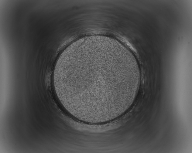 X0000082990010200703020853