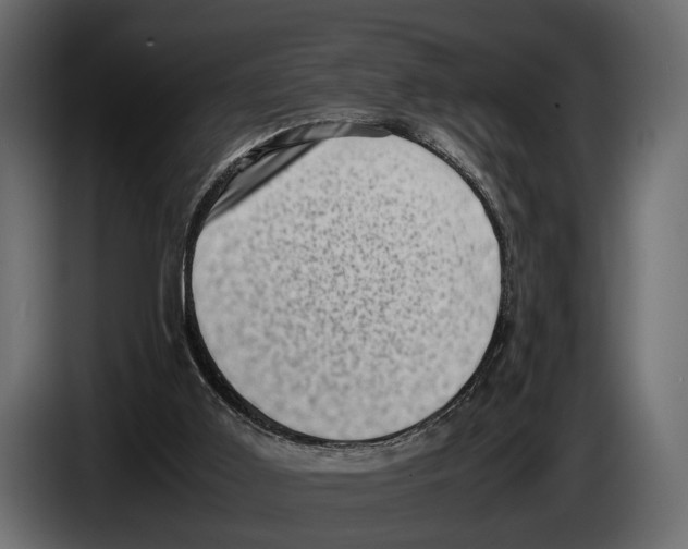 X0000082990011200703020853