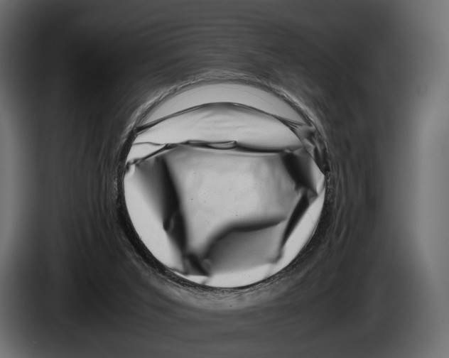 X0000082990015200703020853