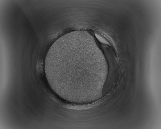 X0000082990017200703020853