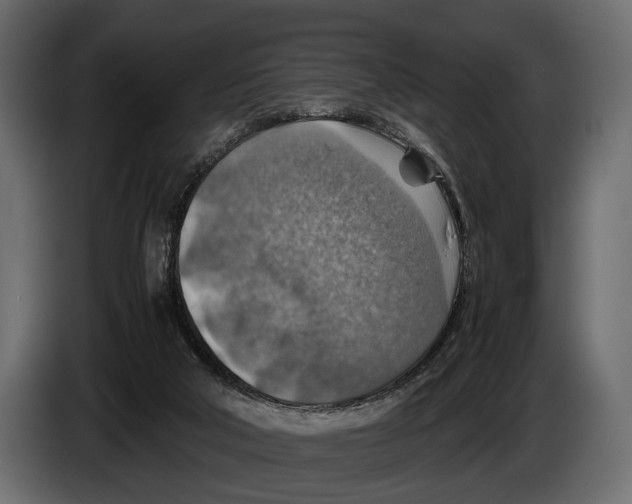 X0000082990018200703020853