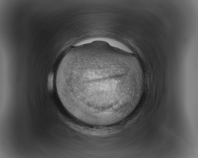 X0000082990024200703020853