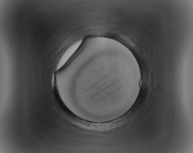 X0000082990027200703020853