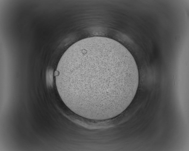 X0000082990028200703020853