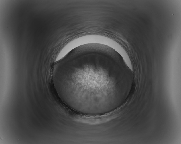 X0000082990029200703020853