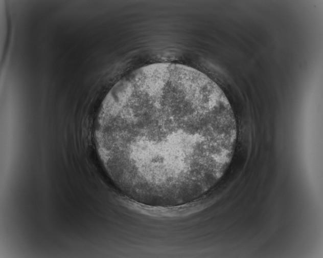 X0000082990030200703020853