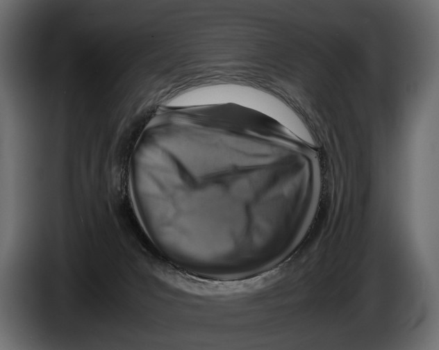 X0000082990031200703020853