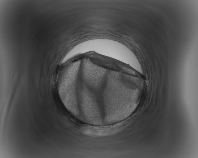 X0000082990033200703020853