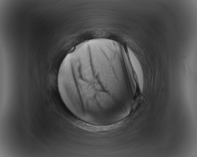 X0000082990035200703020853