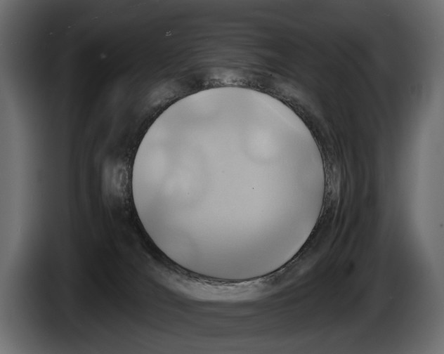 X0000082990036200703020853