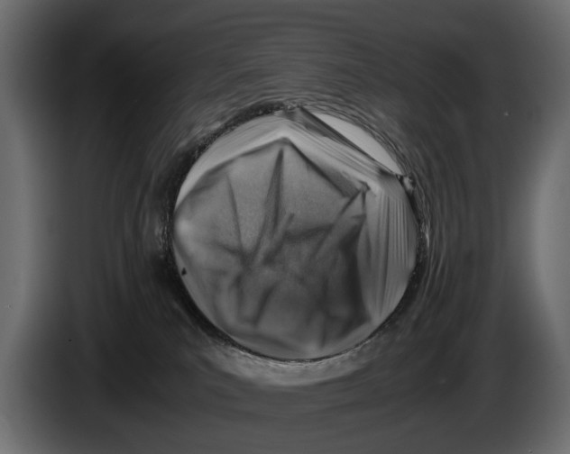 X0000082990039200703020853