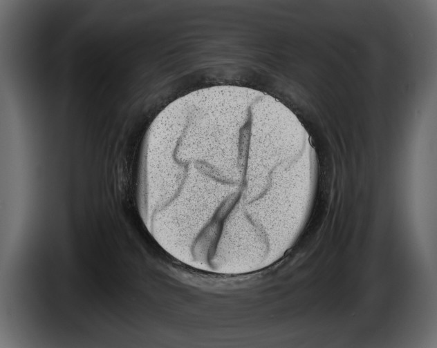 X0000082990040200703020853