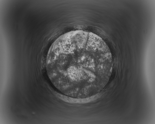 X0000082990043200703020853