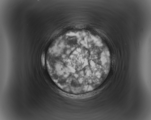 X0000082990046200703020853