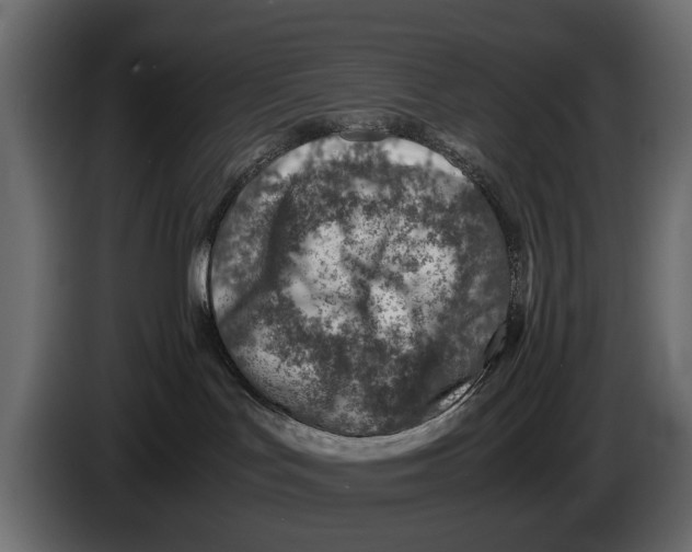 X0000082990047200703020853