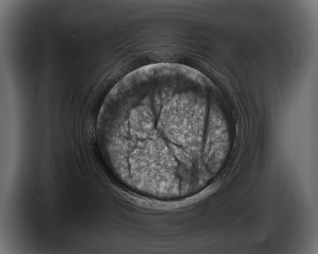 X0000082990048200703020853