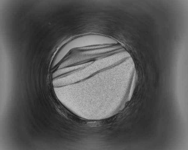 X0000082990050200703020852