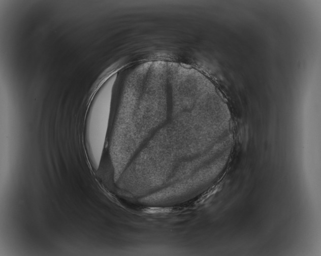 X0000082990051200703020852