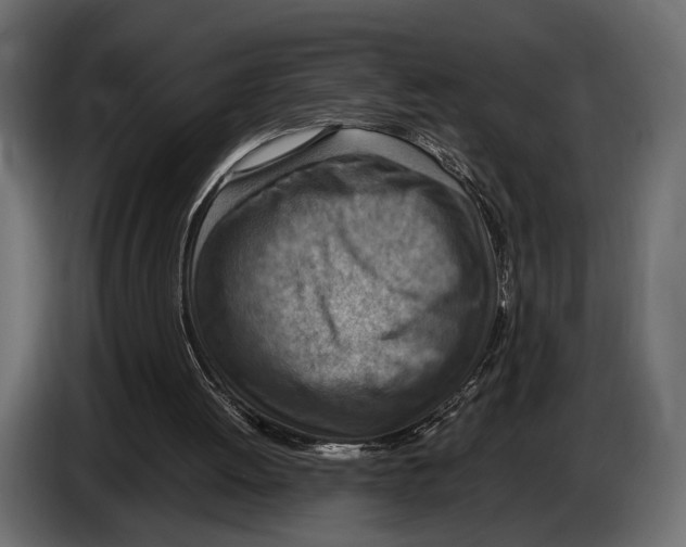 X0000082990052200703020852