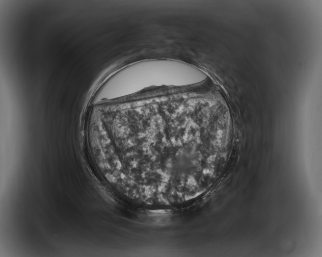 X0000082990053200703020852