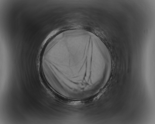 X0000082990054200703020852