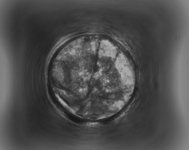 X0000082990055200703020852