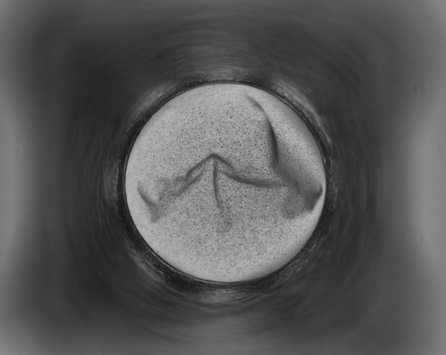 X0000082990058200703020852