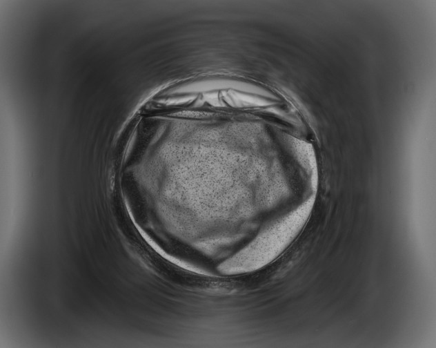 X0000082990060200703020852