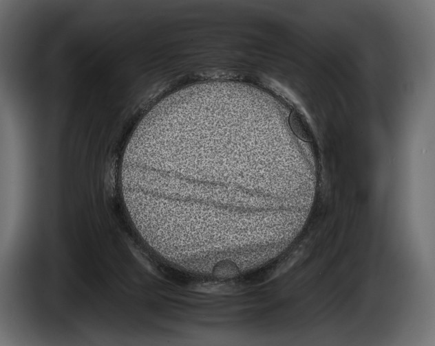 X0000082990065200703020852