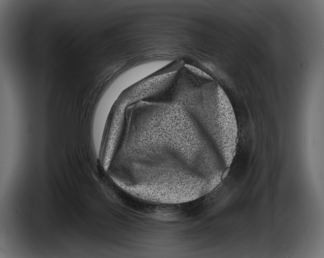 X0000082990070200703020852