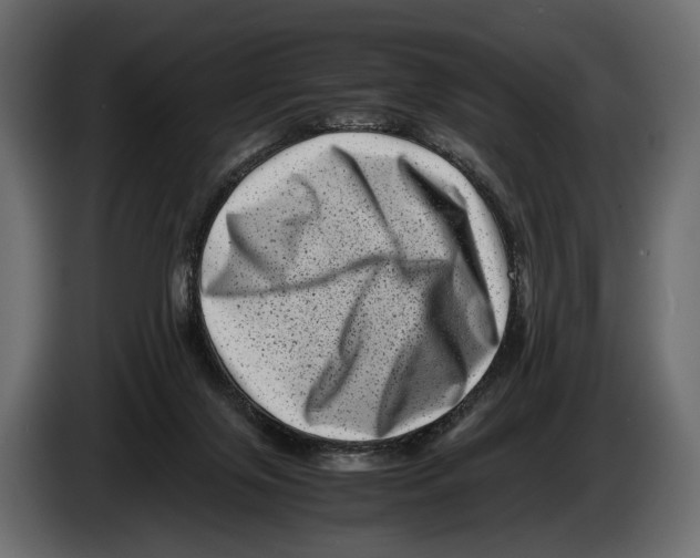 X0000082990071200703020852