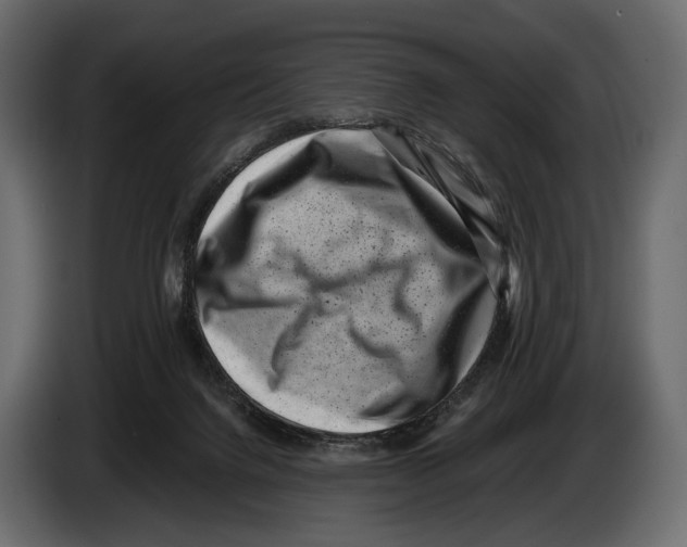 X0000082990072200703020852