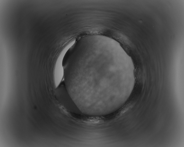 X0000082990076200703020852