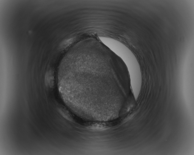 X0000082990080200703020852