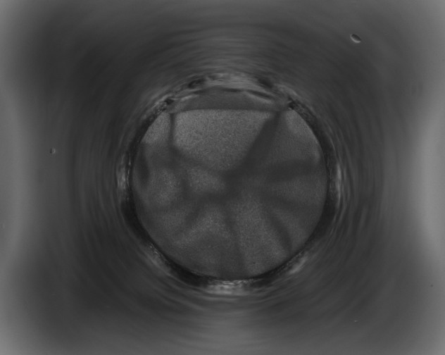 X0000082990084200703020853