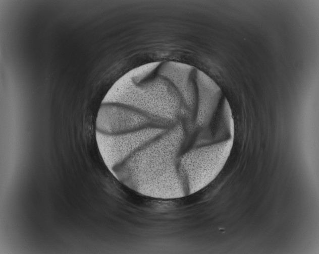 X0000082990085200703020853