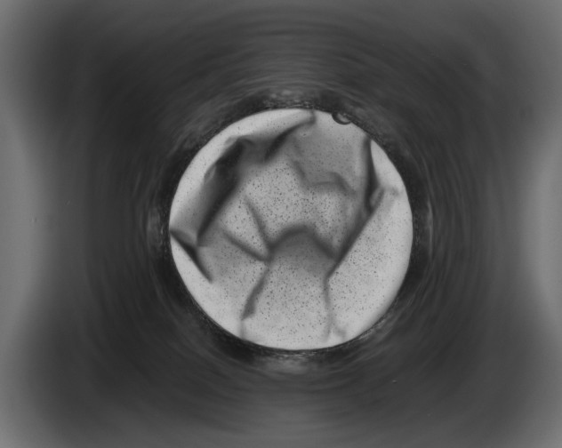 X0000082990086200703020853