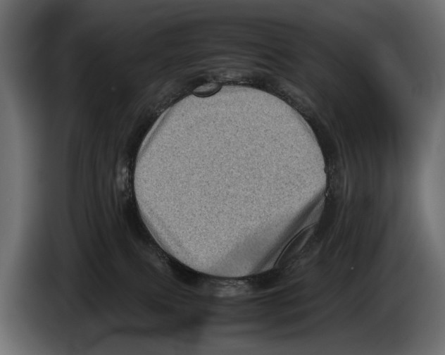 X0000082990087200703020853