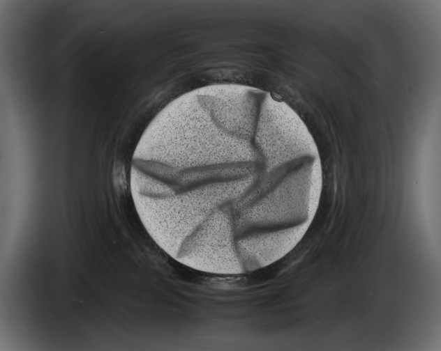 X0000082990089200703020853