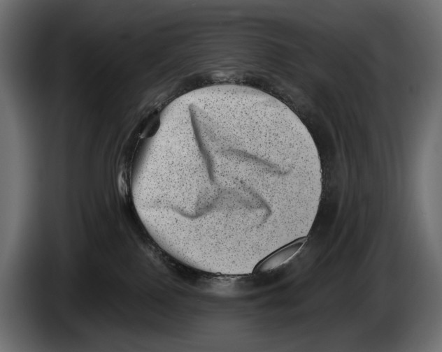 X0000082990090200703020853