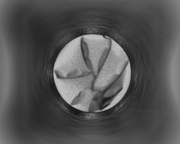 X0000082990091200703020853