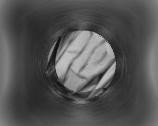 X0000082990092200703020853