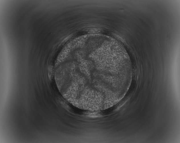 X0000082990093200703020853