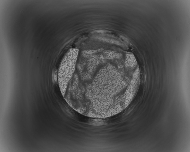 X0000082990095200703020853