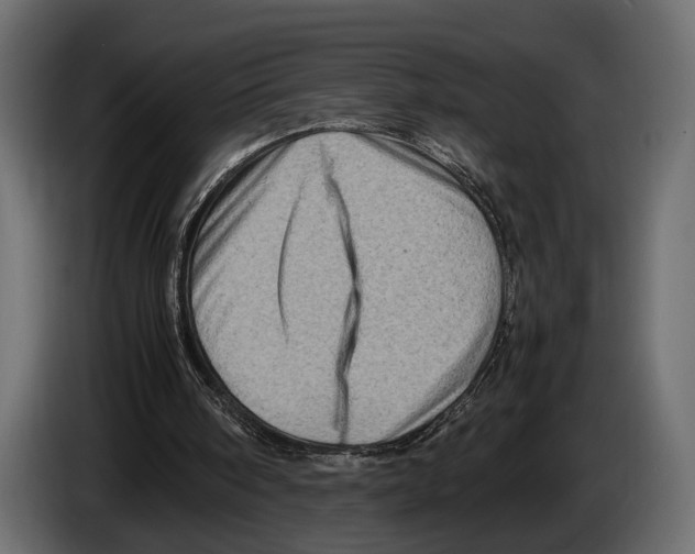 X0000082990098200703020852