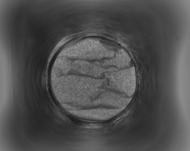 X0000082990102200703020852