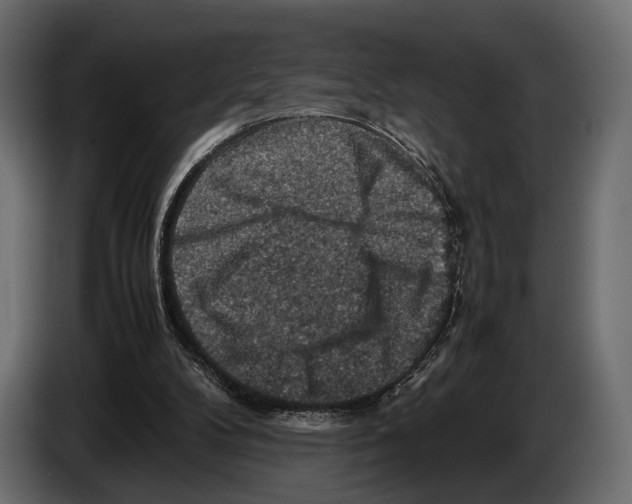 X0000082990104200703020852