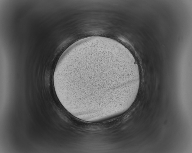 X0000082990106200703020852