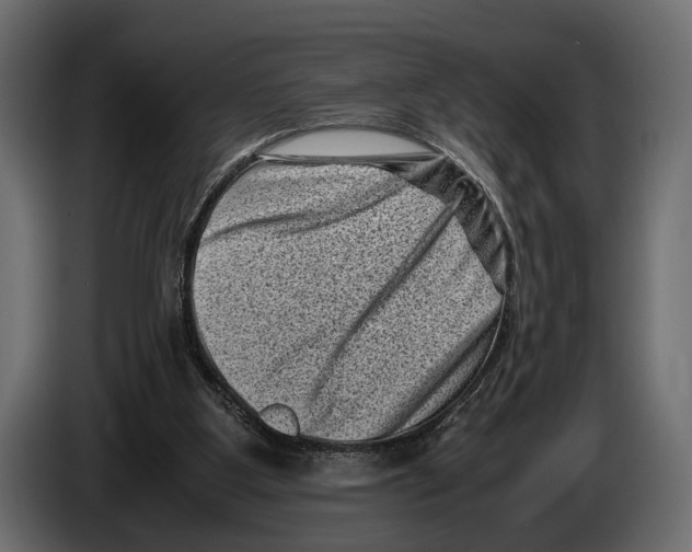 X0000082990107200703020852