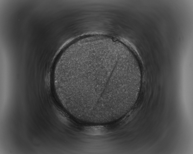 X0000082990108200703020852